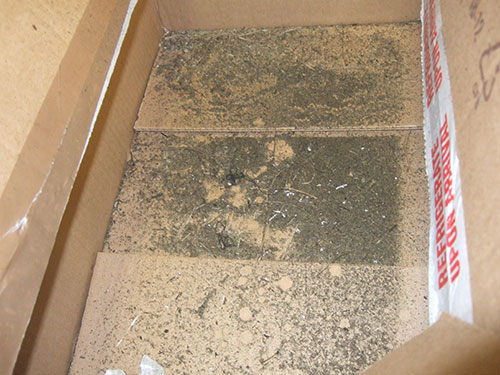 Losi 5ive T - Purchase and Tear Down